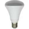 LED R80 60W Warm Light Bulb