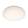 Charlie 28cm LED Flush Bathroom Ceiling Light