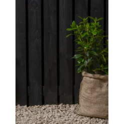 Ronseal Fence Life Plus Paint Tudor Black Oak - 5L 9 Ronseal Fence Life Plus Paint Tudor Black Oak - 5L -Cheap Deco Casa Store 12833707 3314944410694045