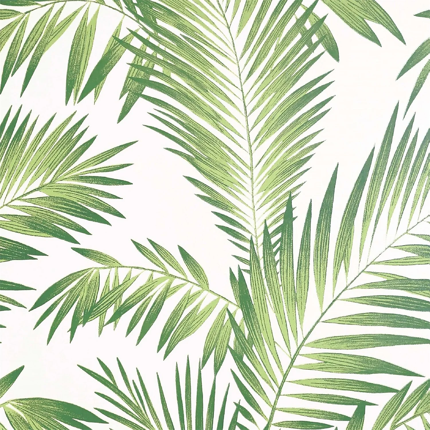 Tropical Palm Geen Artistick Wallpaper 1 Tropical Palm Geen Artistick Wallpaper
