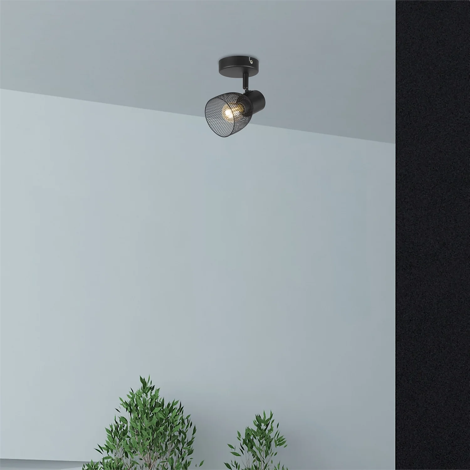 Emily Single Lamp Spotlight - Black 2 Emily Single Lamp Spotlight - Black - Image 2