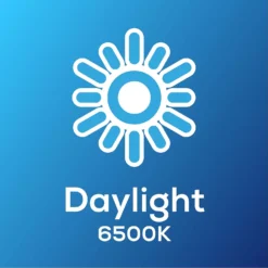 TCP Led Classic 40w Bc Daylight Bulb 2pk -Cheap Deco Casa Store 12891670 8434974964663785