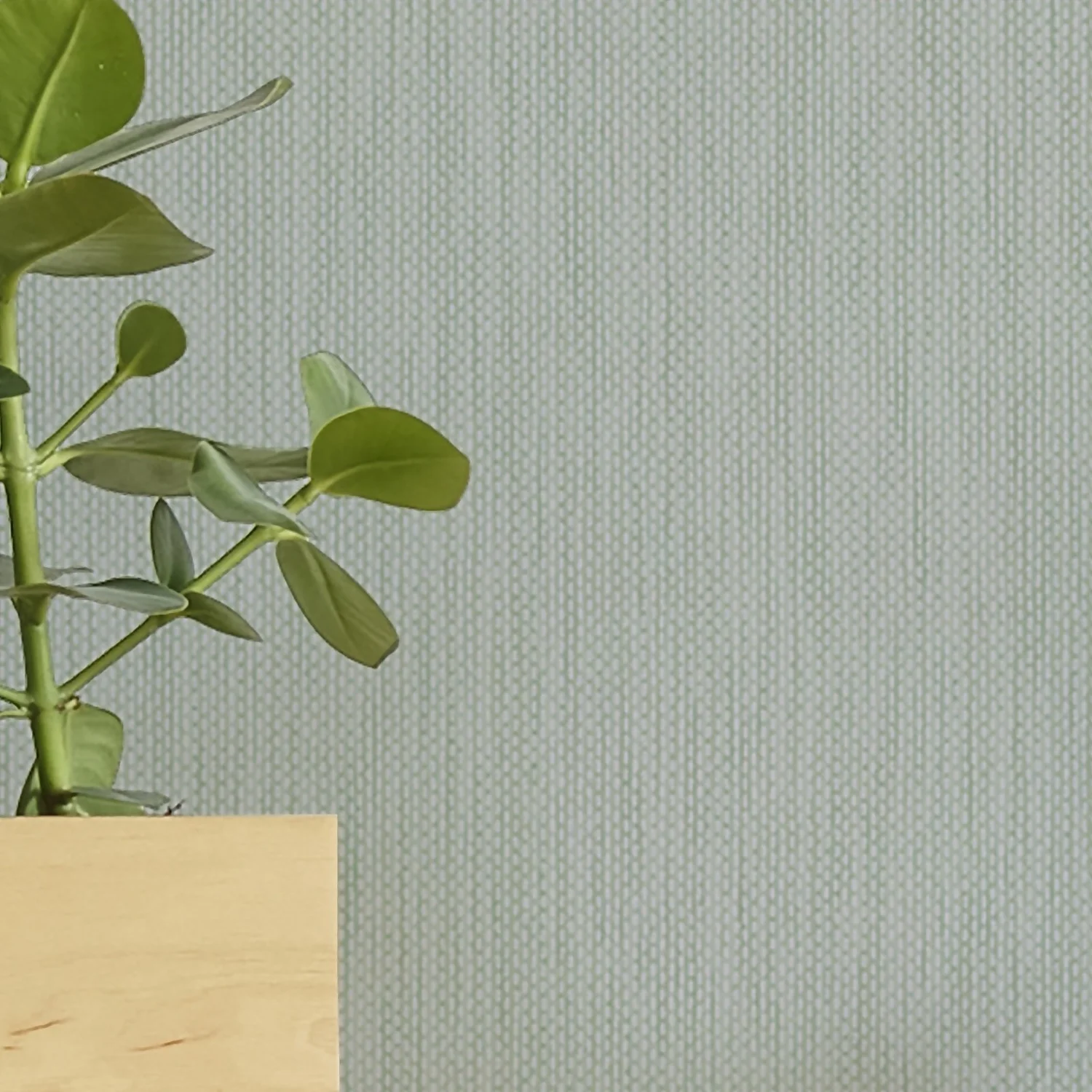 Superfresco Colours Aaron Sage Green Wallpaper 5 Superfresco Colours Aaron Sage Green Wallpaper - Image 5