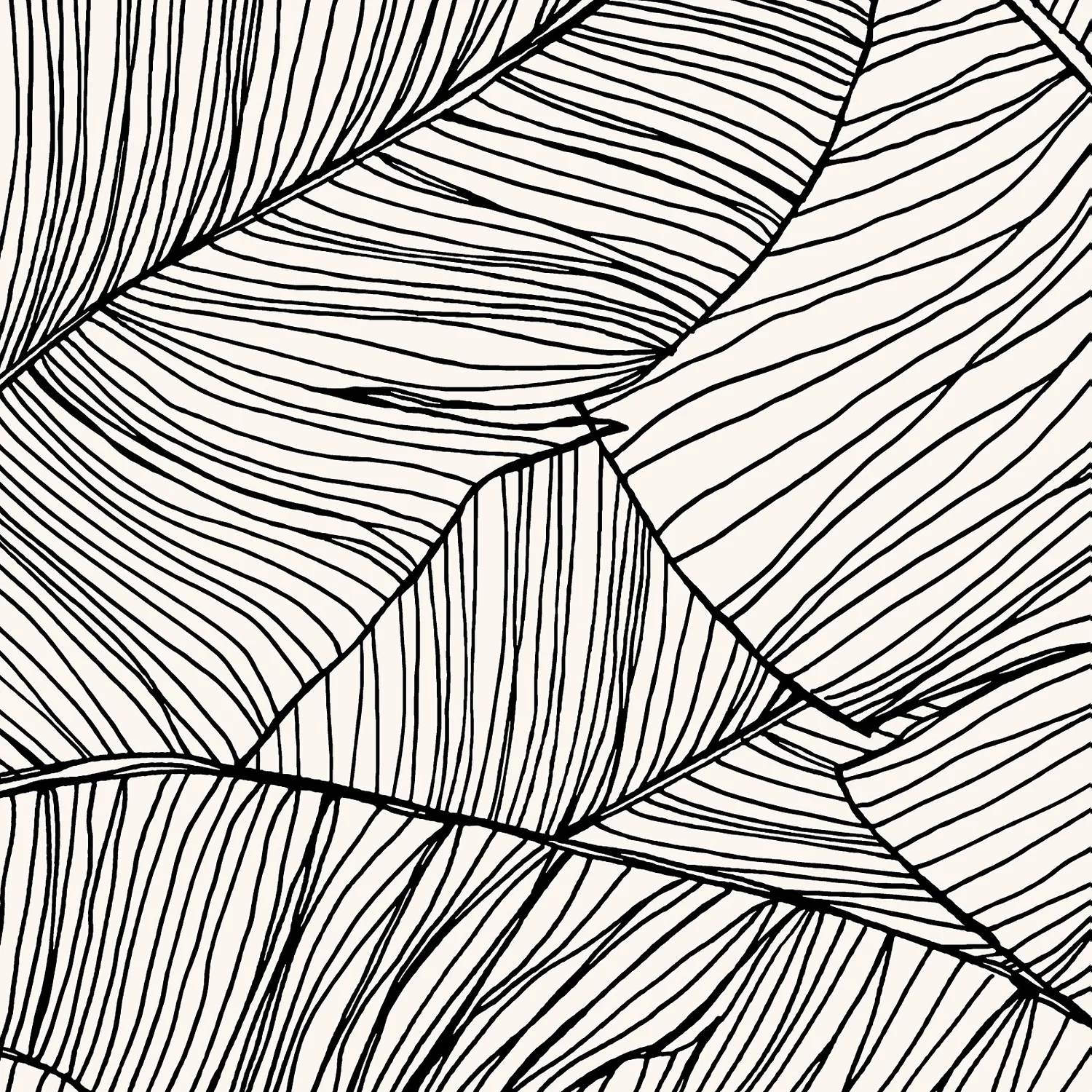 Superfresco Easy Kaya Mono Wallpaper 2 Superfresco Easy Kaya Mono Wallpaper - Image 2